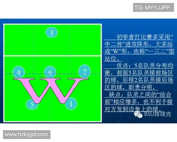 武汉排球队的转换体系与排球战术创新研究分析 武汉排球队的转换体系与排球战术创新研究分析